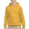 Youth Heavy Blend™ Hooded Sweatshirt Thumbnail